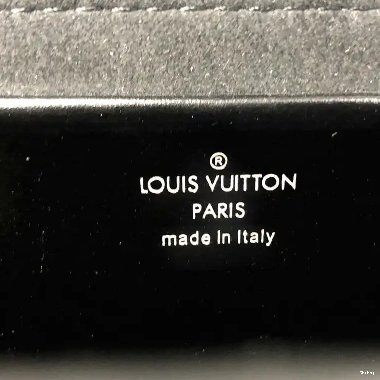 Bag LV 20DJ11101 0717